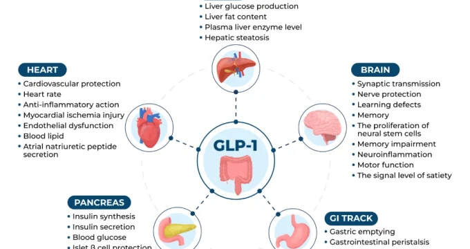 Safety Guidelines for GLP-1 Use - Learn about using GLP-1 for diabetes and weight loss.