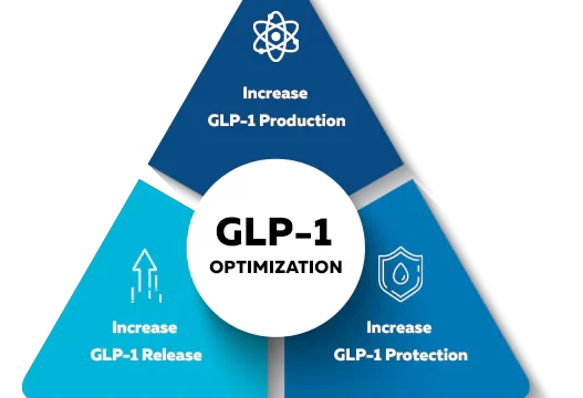 Illustration of GLP-1 hormone structure and its role in insulin secretion and appetite control.