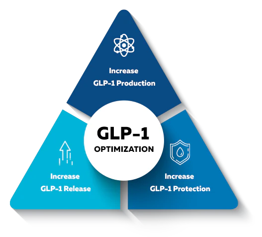 Illustration of GLP-1 hormone structure and its role in insulin secretion and appetite control.