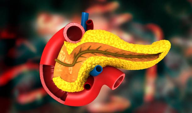 Illustration of pancreas and GLP-1 hormone in diabetes treatment